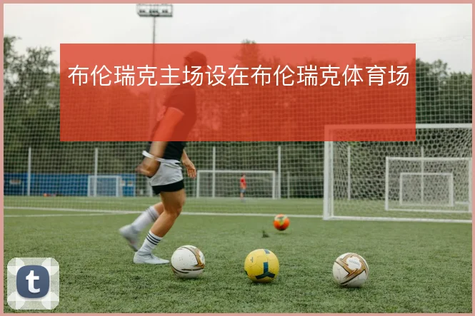 布伦瑞克主场设在布伦瑞克体育场