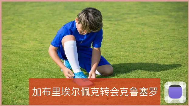 加布里埃尔佩克转会克鲁塞罗